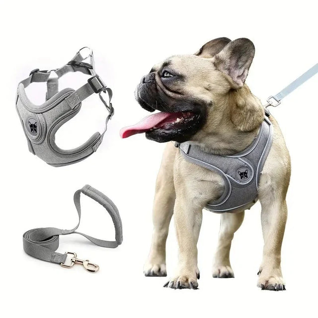 ReflectoLeash • No Pull Dog Harness