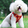 Reflective Pet Harness and Leash Set