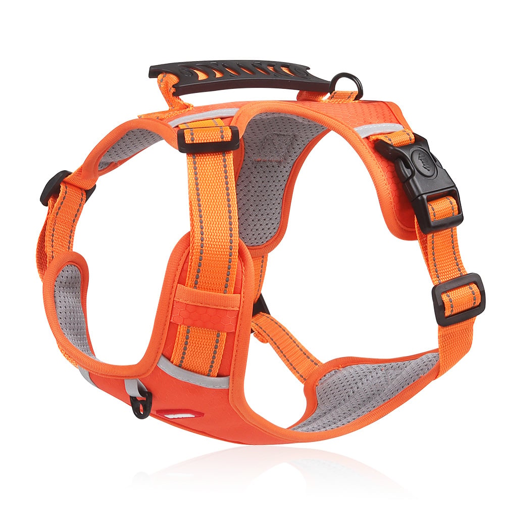 HappyHund Safety Harness Reflective |