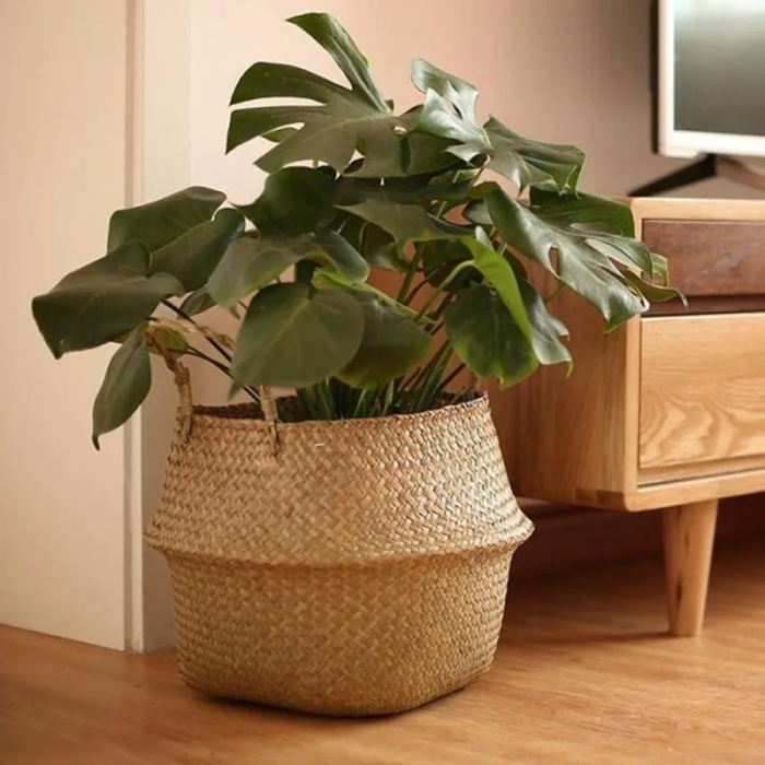 Rattan Plant Holder