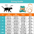 Cat Harness – Safe and Comfortable for Outdoor Adventures