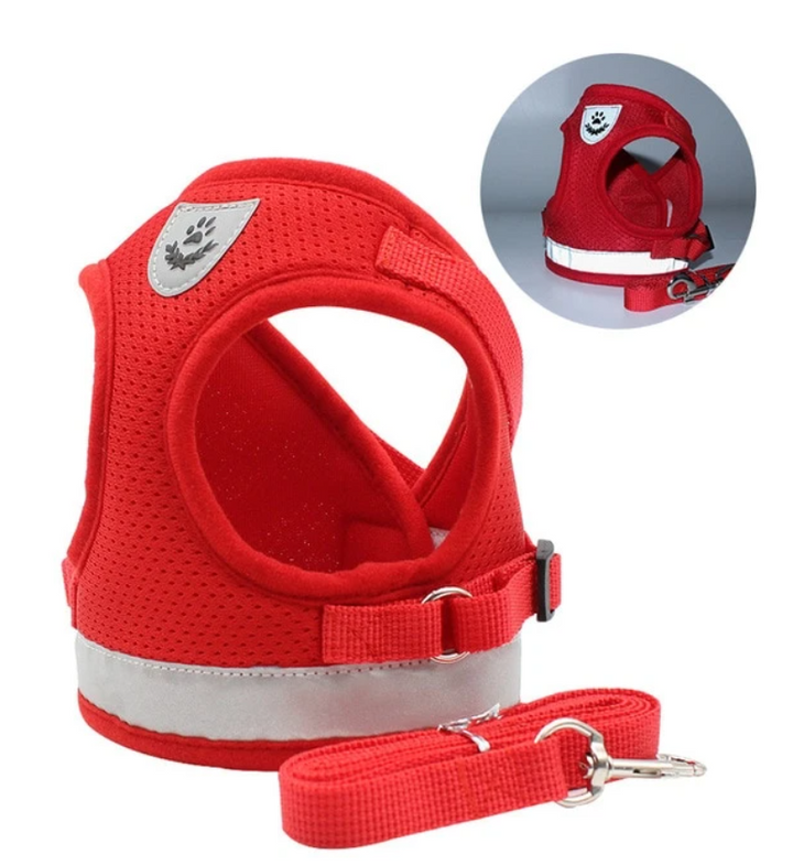 Cat Harness with Leash - AdventureKit
