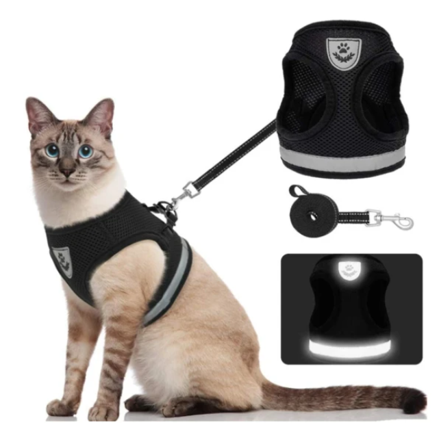 Cat Harness with Leash - AdventureKit