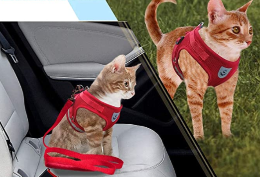 Cat Harness with Leash - AdventureKit