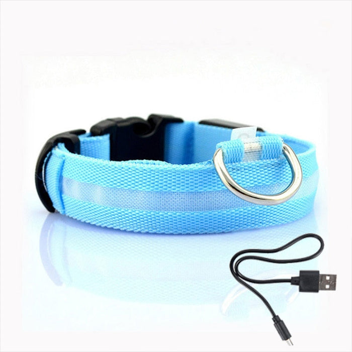 Dog collar with LED lighting - GlowCollar