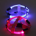 Dog harness with LED - Glow&Go
