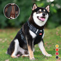 Reflective Dog Harness |