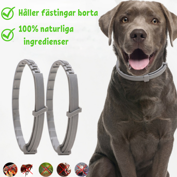 FleaShield Collar – Protection against Fleas and Ticks