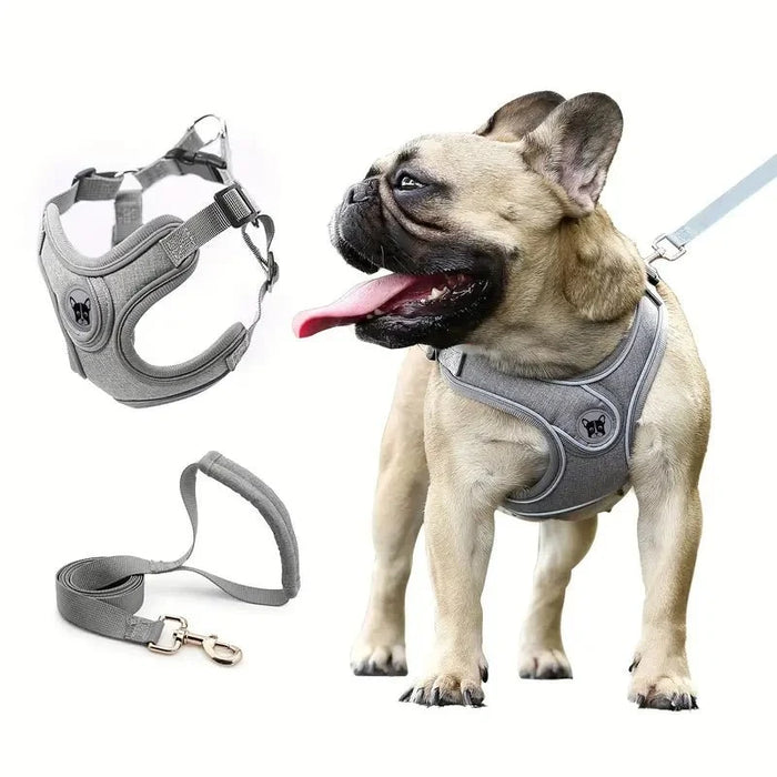 ReflectoLeash •  No Pull Dog Harness